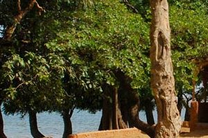 Écolodge de Simal, tourisme responsable sur l'un des plus beaux sites du Sénégal
