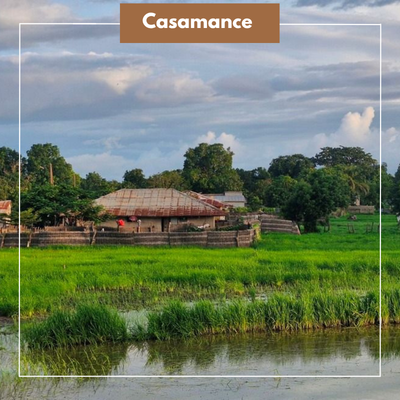 Casamance : où dormir en pleine nature à petit prix.