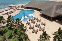 Royal Horizon Baobab 