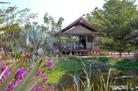 Le lodge des papillons