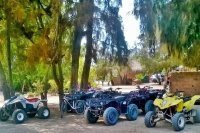 Quad Rose Tours