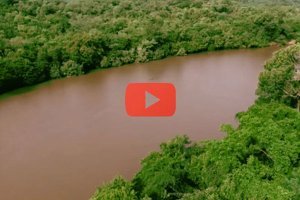 Road movie au Sénégal oriental