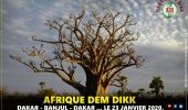 Afrique Dem Dikk : des liaisons de bus vers les villes de la sous-région