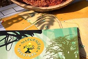 L'énigme du diamant vert : le nouveau jeu grandeur nature d'Accro Baobab Adventure