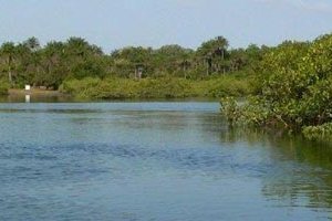 Parc du delta du Saloum