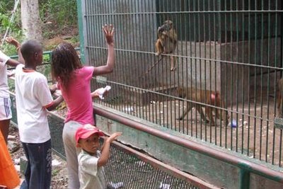 Parc forestier et zoologique de Hann