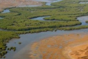 Palmarin, un territoire authentique et généreux