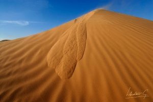 Le désert de Lompoul