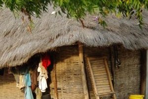 Diembéring, perle naturelle et culturelle de la Casamance