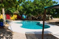 Le Bonobo Lodge 