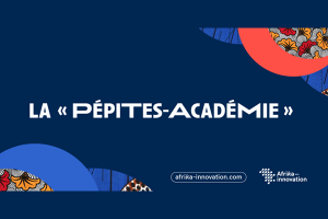 Pépites Académie