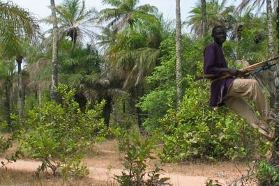 Parc national de Basse-Casamance