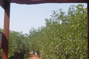 Le sentier écologique de la réserve naturelle de la Somone