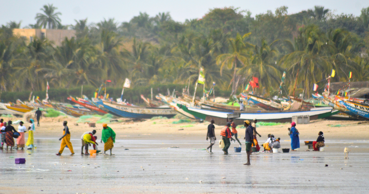 Vacances d'été en Casamance : les hôtels ouverts, les activités et les (…) - Au Sénégal, le cœur du Sénégal
