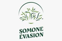 Somone Evasion