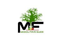 MF Excursion - Modou Faye Guide