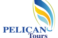 Pélican Tours 
