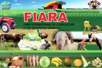 Fiara