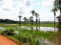 Les Kalounayes en Casamance