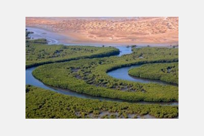 Réserve communautaire de Palmarin