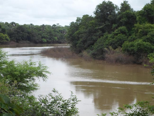 Le fleuve Gambie au Parc de Niokolo Koba