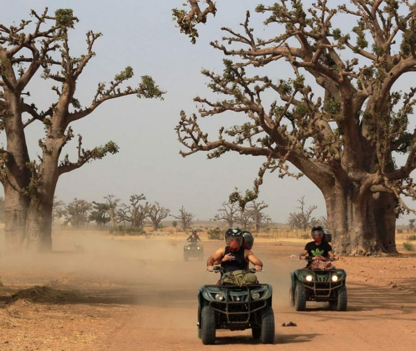 Découverte d'une forêt de baobabs-Esprit Evasion-Sénégal