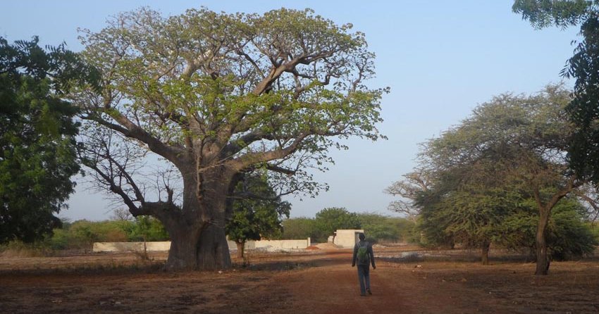Ferme équestre de Ndangane, African Ranch - Au Sénégal, le cœur du Sénégal